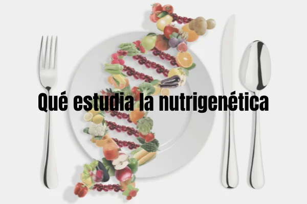 Cosa studia la nutrigenetica?